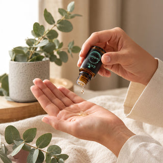 Gotas de aceite esencial de Eucalipto Globulus 11 ml en la mano | Exotik Nat
