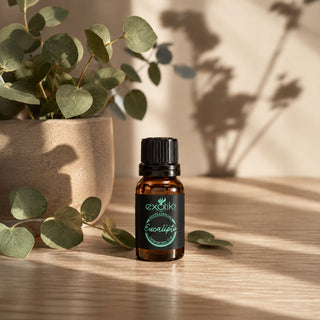 Aceite esencial Eucalipto Globulus 11 ml junto a ramas de eucalipto | Exotik Nat