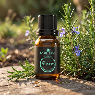 Aceite esencial de Romero 11 ml junto a una planta de romero | Exotik Nat