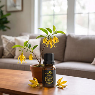 Aceite esencial Ylang Ylang 11 ml junto a flores de ylang ylang | Exotik Nat