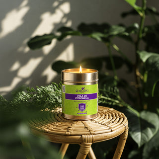 Vela de Citronela 450g encendida en una terraza con plantas | Exotik Nat